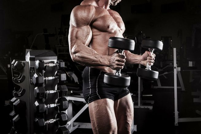 Steroid Action: Comprendere gli Effetti e i Meccanismi